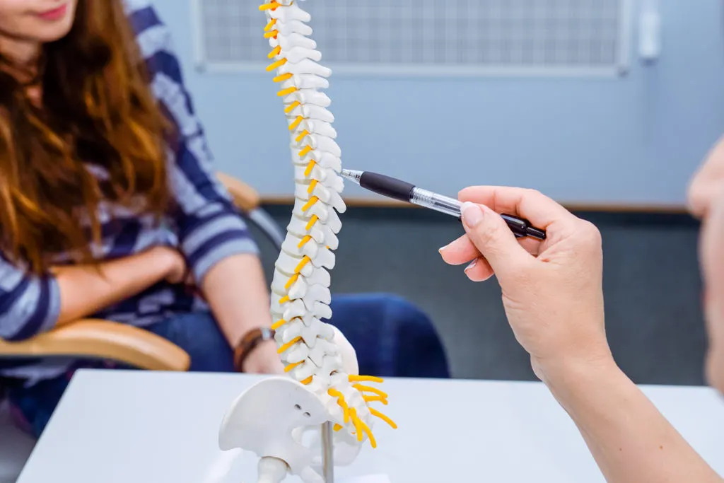 chiropractic care consulataiton in hastings